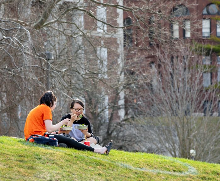 Students enjoying a meal on a grassy lawn